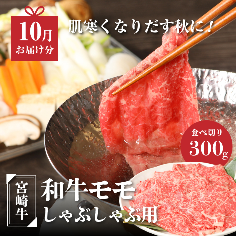 螳ョ蟠守央鬟溘∋豈斐∋繧サ繝繝茨シ泌屓螳壽悄萓ソ(4蝗槭さ繝シ繧ケ繝サ貅雜ウ) K01_T02