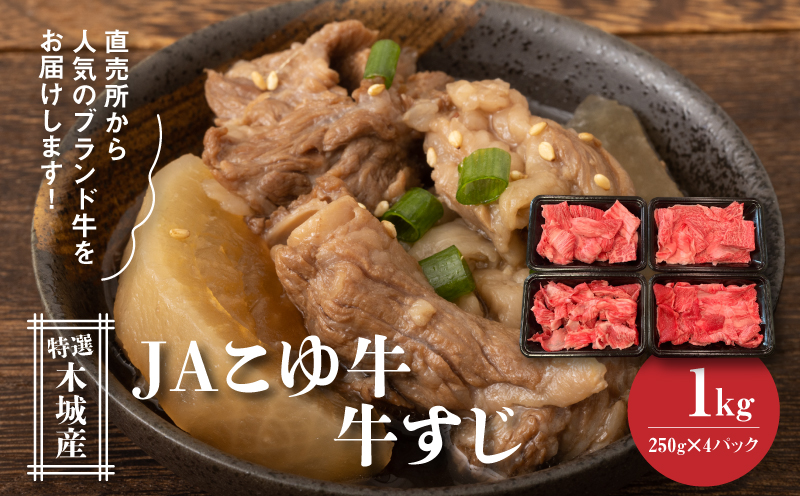 JAこゆ牛 特選木城産 すじ250g×4_K56_0013