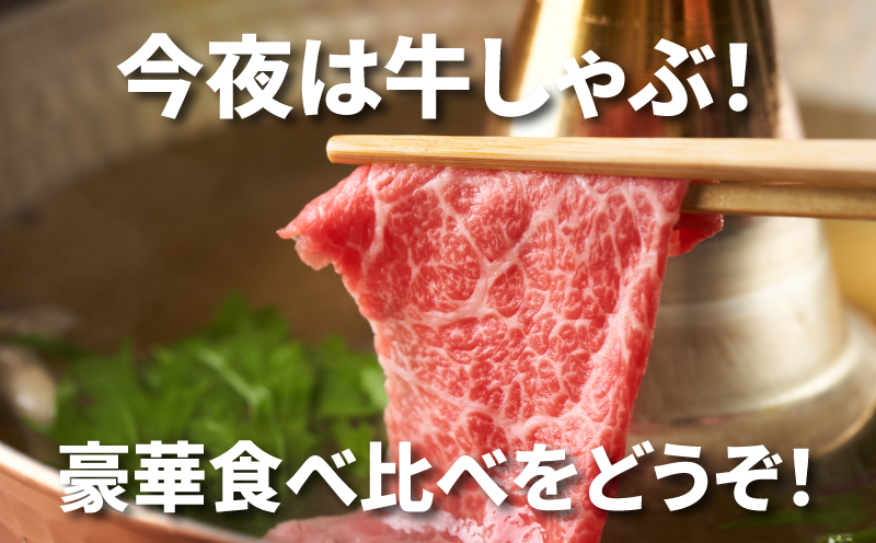 宮崎牛 肩ローススライス300ｇ ウデスライス400g  K18_0039_4