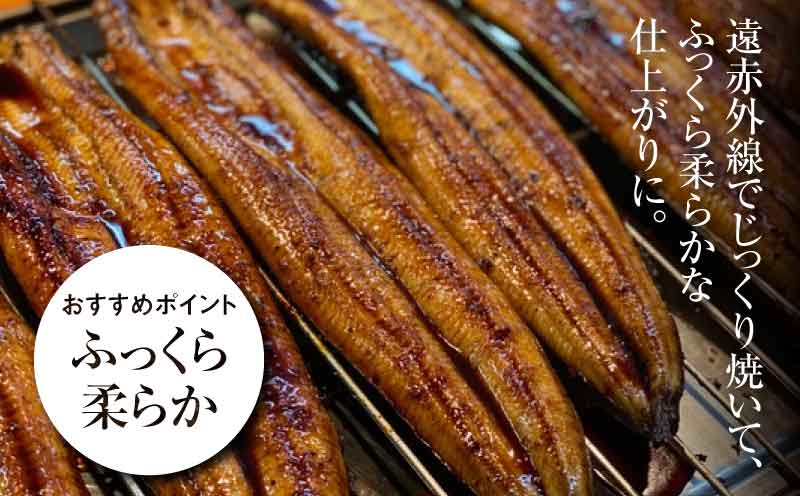 螳ョ蟠守恁逕」縺縺ェ縺手調辟シ縺 5蟆セ繧サ繝繝_K10_0011_3