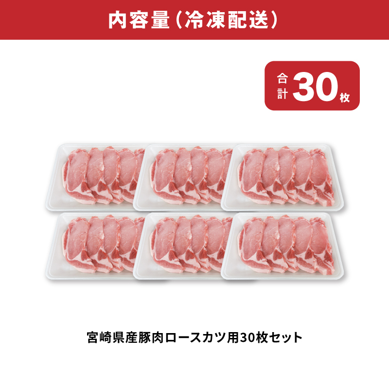 宮崎県産豚肉ロースカツ用30枚セット_K65_0004_1