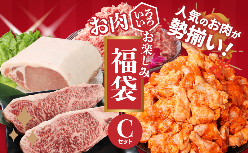 福袋 木城町 お肉いろいろお楽しみセットC K16_0071_2