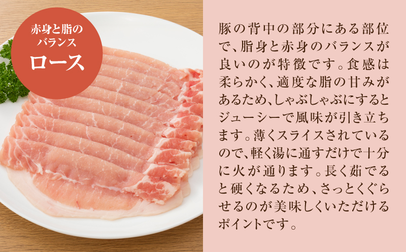 繝舌Λ繧ィ繝繧」A(繝ュ繝シ繧ケ500g繝サ繝舌Λ500g繝サ繧ゅb500gテ2)險2緕上そ繝繝_K16_0118_1