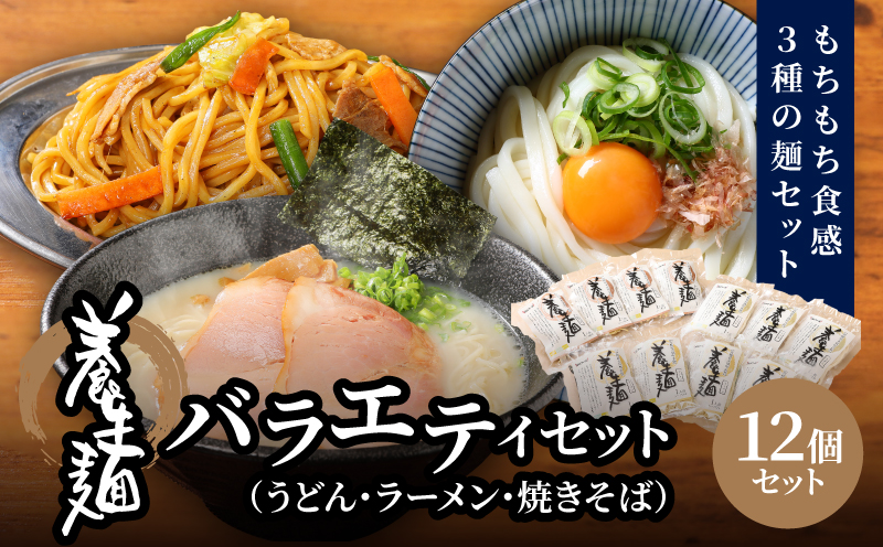 ＜養生麺セット 12個入り＞ K10_0003_2