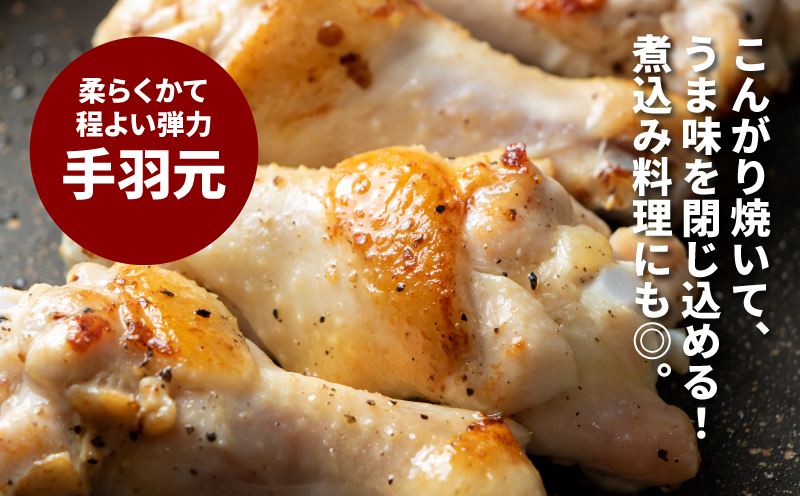 螳ョ蟠守恁逕」鮓 繧繧上i縺玖凶鮓2遞ョ6kg K16_0027_2