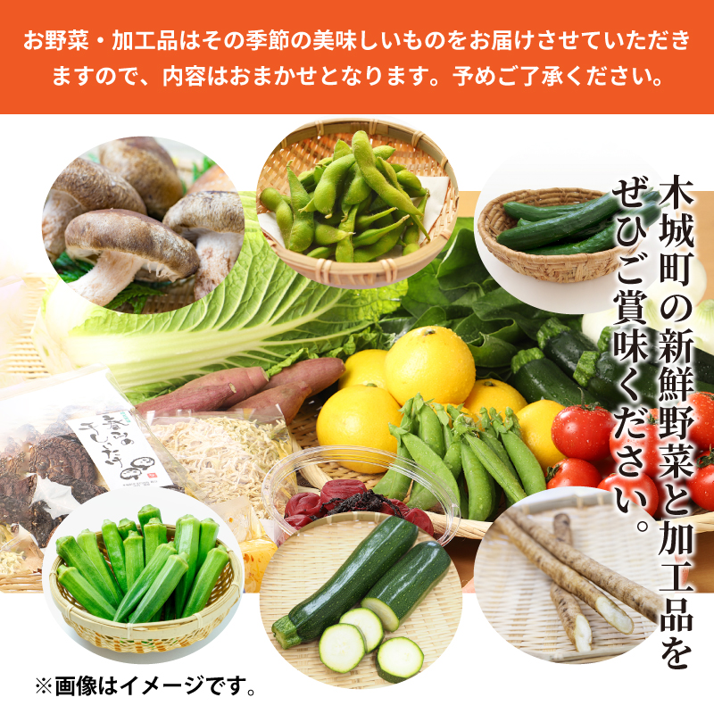 譛ィ蝓守伴逕」霎イ逕」迚ゥ縺ィ蜉蟾・蜩√そ繝繝 K04_0001_2