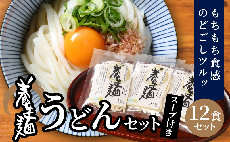 ＜養生麺うどん詰合せ 12袋入り＞ K10_0002_2