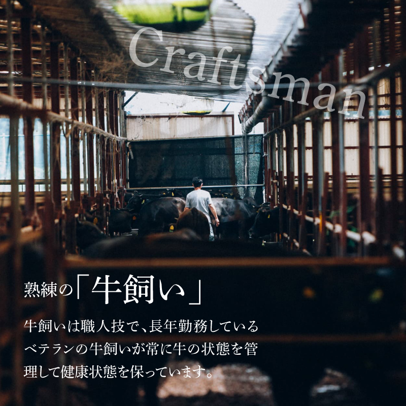 ＜宮崎ＥＭＯ黒毛和牛 すき焼き用上スライス 600ℊ＞ K20_0013_3