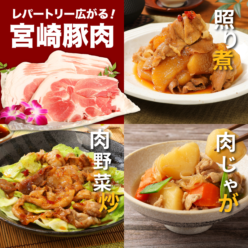 【3回定期便】宮崎県産 黒毛和牛切落し1kg(500g×2P)＆訳あり豚切落し1kg(500g×2P)セット×3回_K16_T004_4