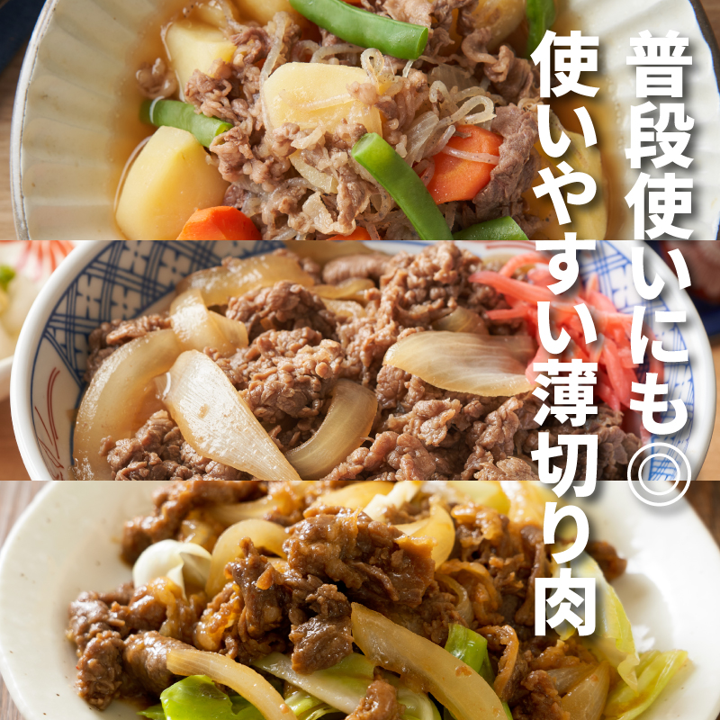 福袋 木城町 お肉いろいろお楽しみセットB K16_0070_3