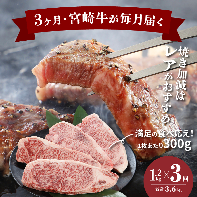 ＜3か月定期便 宮崎牛 特上ロースステーキ 計3.6Kｇ＞ K16_T007