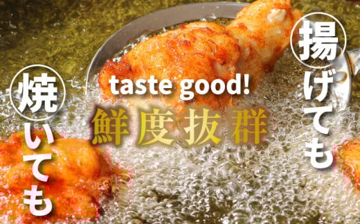 èš³ãã ä¹å·ç£è¥é¶æçŸœå
æããã ãã¹ãã€ã·ãŒããã³ïŒkg K16_0081_1S