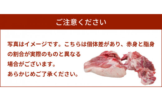 宮崎県産豚ウデブロック５kg超! K16_0014_10 国産豚肉 ウデ肉 かたまり肉 5キロ 冷凍 大容量 ブロック肉 塊肉 大きい お好みにカットできる 届いたらご自宅でカット 送料無料