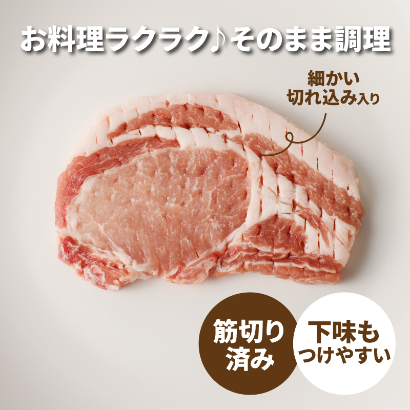 贅沢宮崎県産豚肉ロース100gカット10枚_K16_0149_1