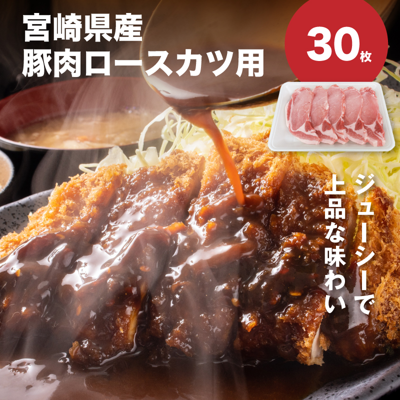 宮崎県産豚肉ロースカツ用30枚セット_K65_0004_1