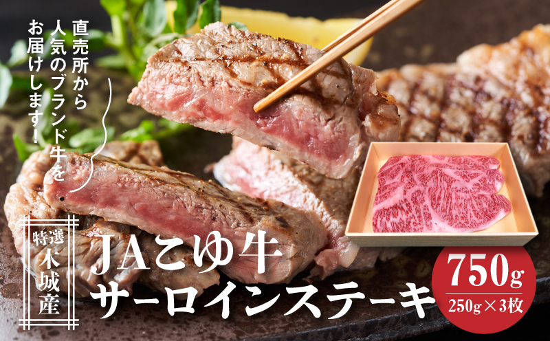 JAこゆ牛 特選木城産 サーロインステーキ 750g_K56_0001_1