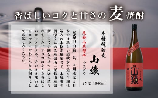 焼酎尾鈴山(山猿1本・山ねこ1本)1800ml_K09_0003_4