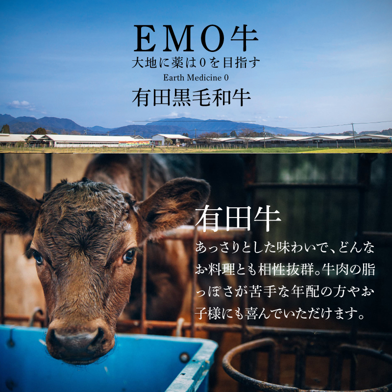 ＜宮崎ＥＭＯ黒毛和牛 すき焼き用上スライス 600ℊ＞ K20_0013_3