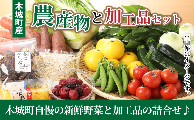 譛ィ蝓守伴逕」霎イ逕」迚ゥ縺ィ蜉蟾・蜩√そ繝繝 K04_0001_2