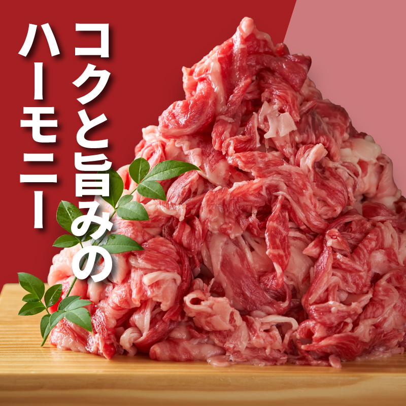 福袋 木城町 お肉いろいろお楽しみセットB K16_0070_3