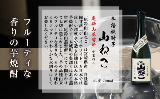 定期コース3回　本格焼酎芋「尾鈴山 山ねこ(25度)」720ml×2本【尾鈴山蒸留所】K08_T001_3