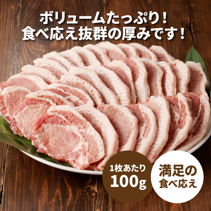 贅沢宮崎県産豚肉ロース100gカット10枚_K16_0149_1