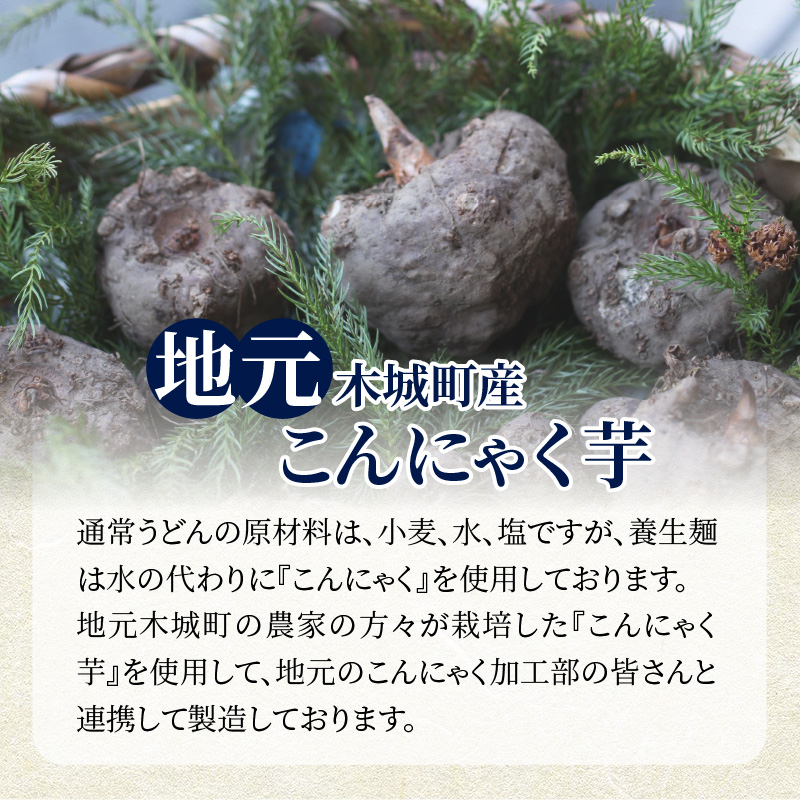 養生麺つけ麺セット K10_0005_1