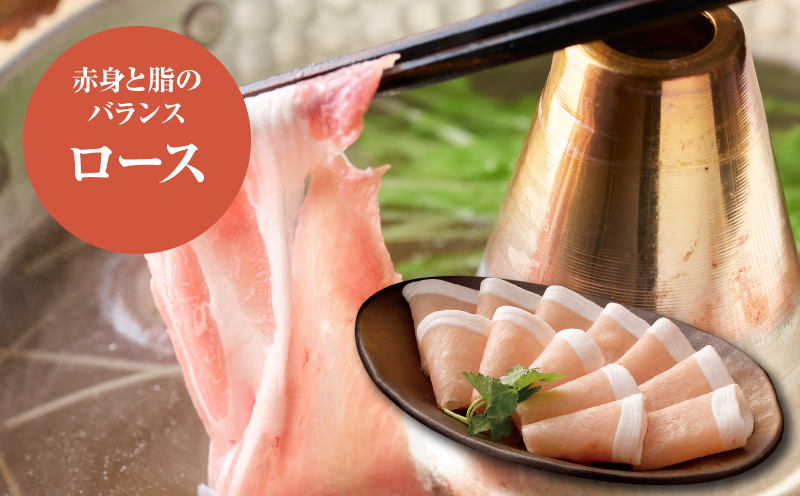 繝舌Λ繧ィ繝繧」A(繝ュ繝シ繧ケ500g繝サ繝舌Λ500g繝サ繧ゅb500gテ2)險2緕上そ繝繝_K16_0118_1