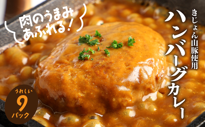 宮崎県産豚 自社ブランド「季じょん山豚」 レトルトハンバーグカレー9パック_K16_0042_4