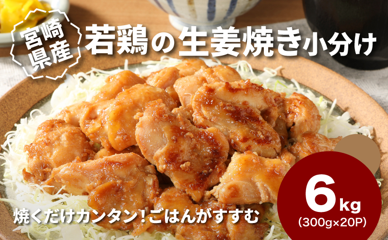 簡単調理 宮崎県産若鶏の生姜焼き 小分け 6kg(300g×20P)_K16_0133_2