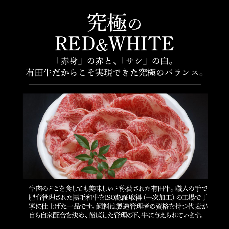 宮崎ＥＭＯ黒毛和牛 すき焼き用 ローススライス500g _K20_0017_4