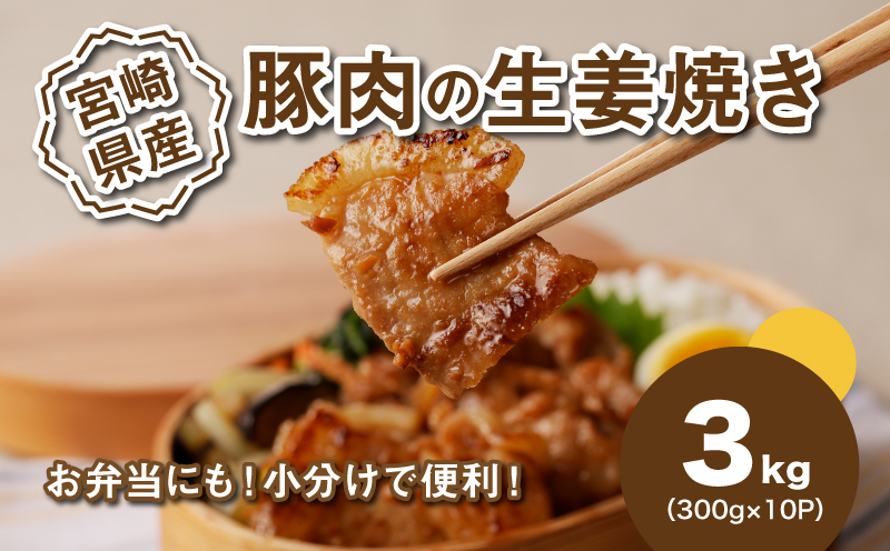 簡単調理 宮崎県産豚肉の生姜焼き 小分け 3kg(300g×10P)_K16_0147_1