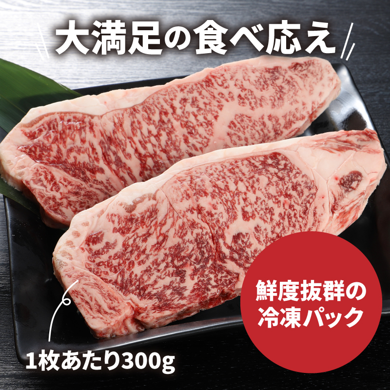 宮崎牛 特上ロースステーキ A4等級以上 600g(300g×2枚) _K16_0009_4