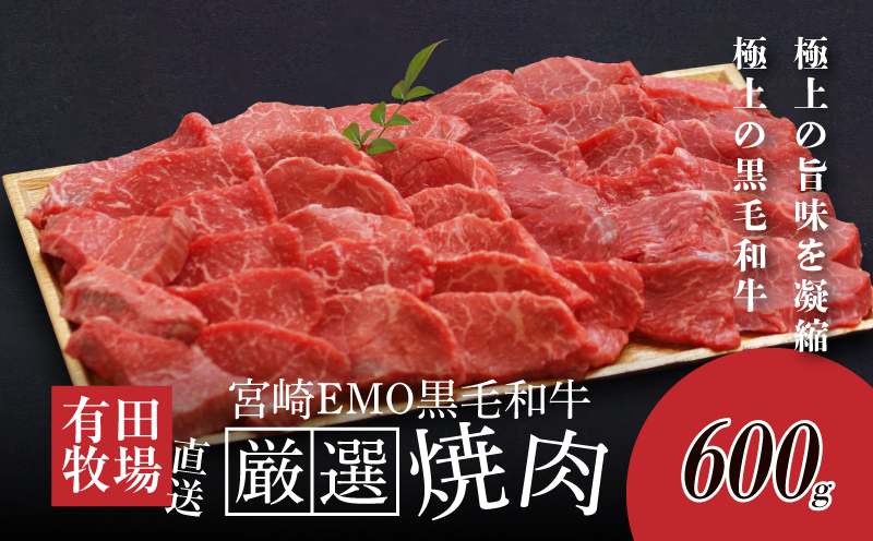 木城白木八重牧場育ちの黒毛和牛厳選焼肉 600g _K20_0012_4