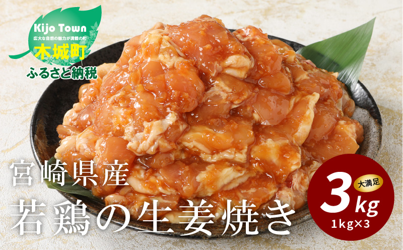 簡単調理 宮崎県産若鶏の生姜焼き3kg(1kg×3P) _K16_0060_4
