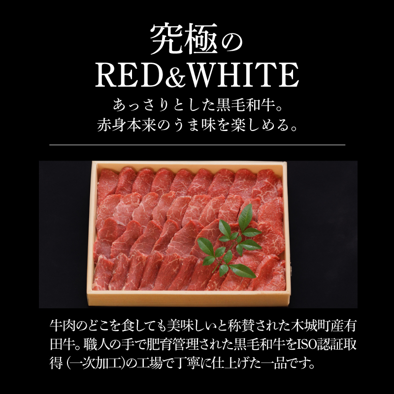 木城白木八重牧場育ちの黒毛和牛厳選焼肉 600g _K20_0012_4