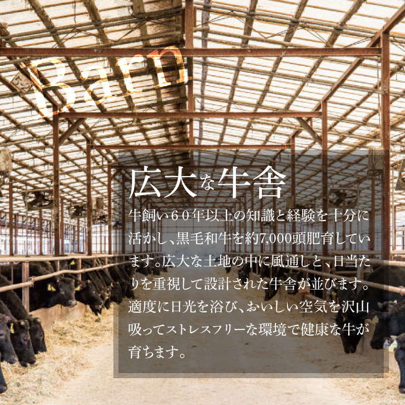 木城白木八重牧場育ちの黒毛和牛厳選焼肉 600g _K20_0012_4