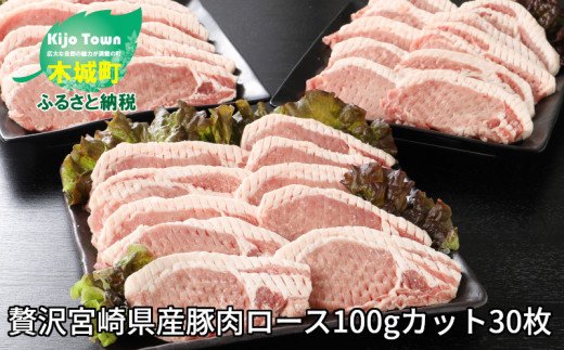 贅沢 宮崎県産豚肉ロース100gカット30枚_K16_0018_4