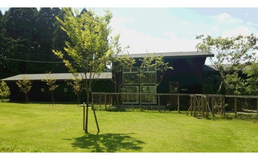 ＜犬と泊まれるペンション「wanvino」３万円分宿泊券＞ K15_0001