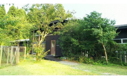 ＜犬と泊まれるペンション「wanvino」３万円分宿泊券＞ K15_0001