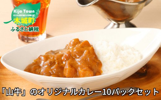 宮崎県産黒毛和牛 自社ブランド「季じょん山牛」 オリジナルカレー10パックセット_K16_0012_2