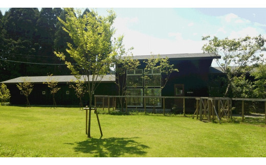 ïŒç¬ãšæ³ãŸãããã³ã·ã§ã³ãwanvinoã3000åå宿æ³åžïŒ K15_0004_1