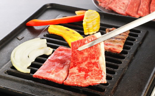 宮崎牛 モモ 焼肉500ｇ K18_0019_7