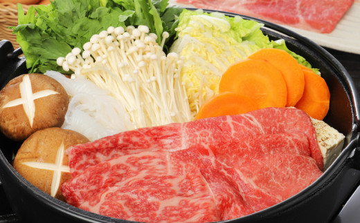 宮崎牛 モモ スライス500ｇ   K18_0018_7