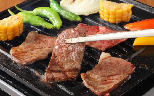 宮崎牛 肩（ウデ） 焼肉500ｇ   K18_0017_7