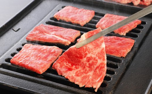 宮崎牛 モモ 焼肉500ｇ K18_0019_7