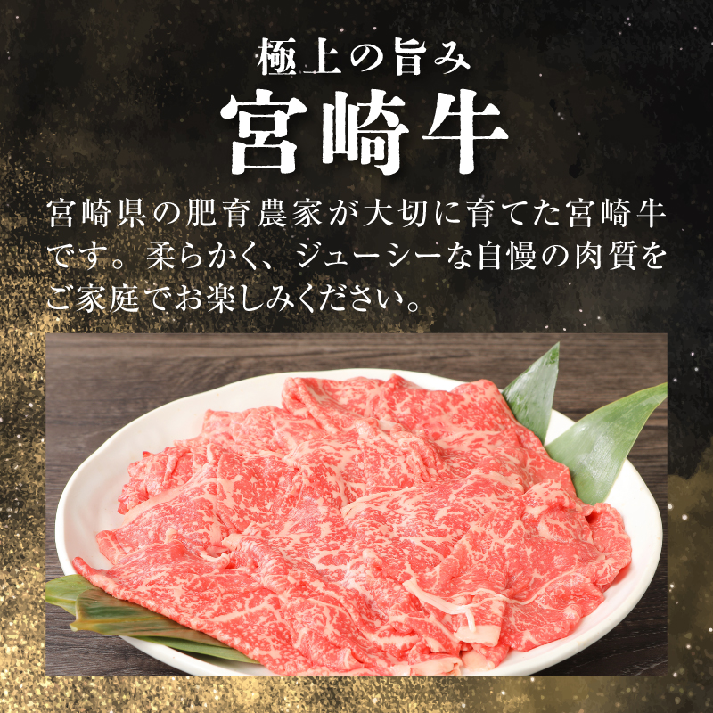＜宮崎牛和牛モモ肉しゃぶしゃぶ用500g＞ K01_0002_1
