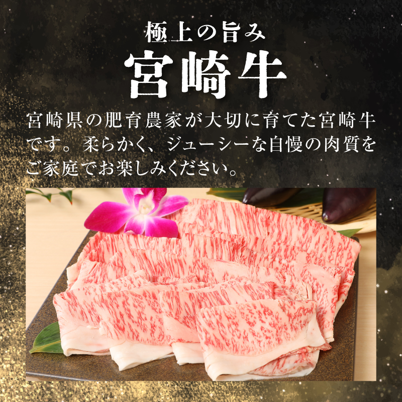 ＜宮崎牛ローススライス300g＞ K01_0007_1