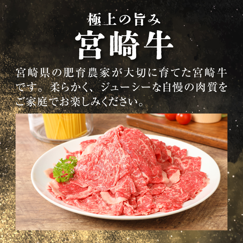 ＜宮崎牛　和牛　切り落とし500g＞ K01_0009_1