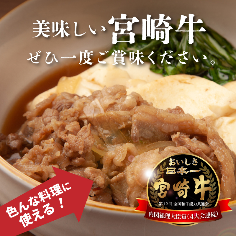 ＜宮崎牛　和牛　切り落とし500g＞ K01_0009_1